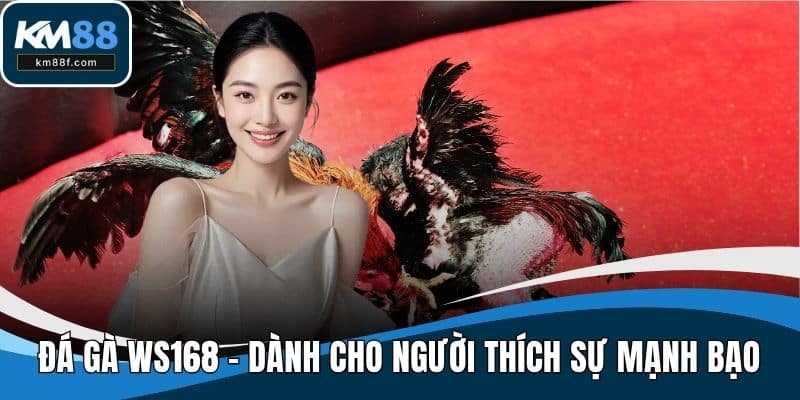 Đá Gà WS168 - Bộ Môn Dành Cho Người Thích Sự Mạnh Bạo
