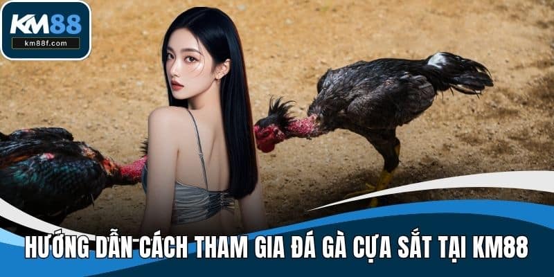 Hướng dẫn cách tham gia đá gà cựa sắt tại KM88
