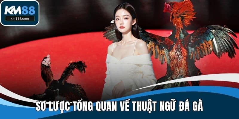 Sơ lược tổng quan về thuật ngữ đá gà